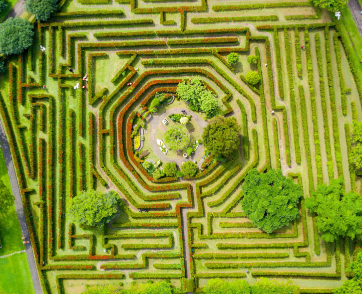 Navigating Maze